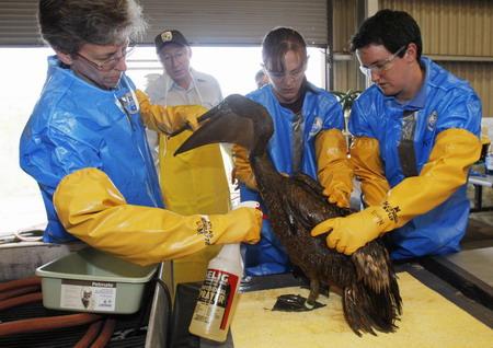 US presidential commission to probe oil spill