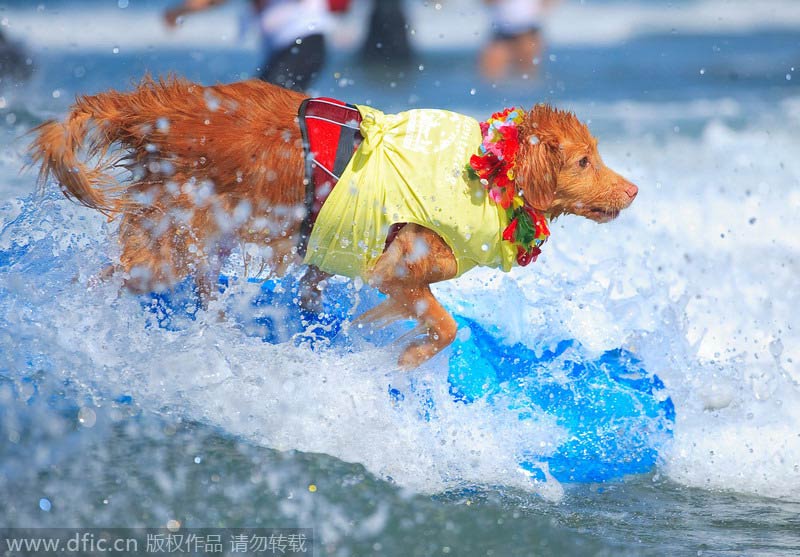 The world in photos: Sept 1-7