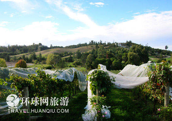 游客心目中的各國美食小吃(組圖)