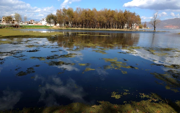 生態(tài)大理冬日印象
