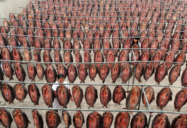 年貨“列隊(duì)”迎新年