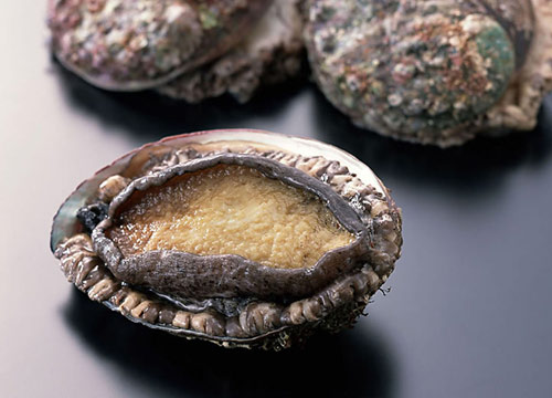 寒冬補身 進食海鮮正當時