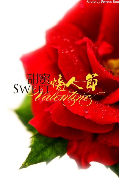 北京中奧馬哥孛羅大酒店邀您共度甜蜜情人節(jié)