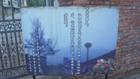 短評(píng):災(zāi)區(qū)需要“凝重而安靜”地紀(jì)念地震一周年