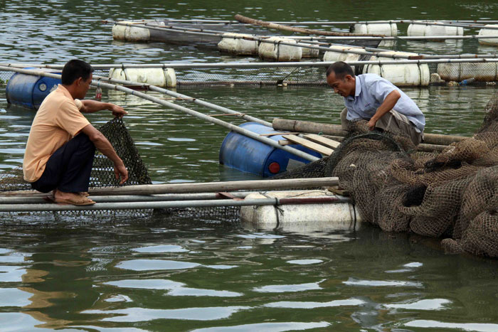 汀江流域6月底銅嚴重超標 漁民轉產困難重重