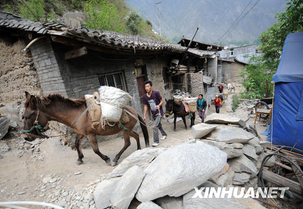 汶川地震一周年：騾馬馱出的新家園[組圖]