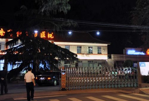 山東確診內地第二例甲型流感病例