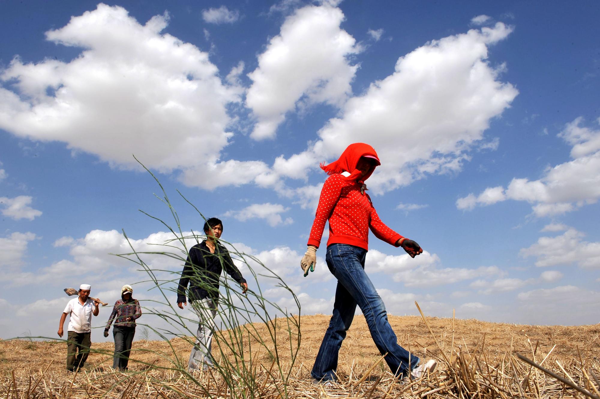 治理荒漠 保衛家園