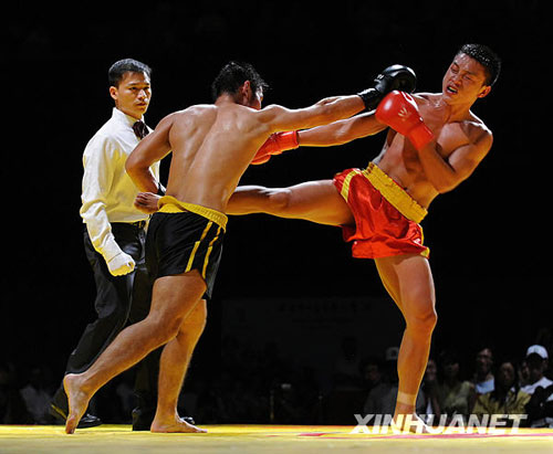 中華國術大賽舉行總決賽[組圖]