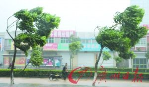 臺風巨爵造成廣東百萬人受災1人失蹤(組圖)