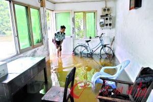 臺風巨爵造成廣東百萬人受災1人失蹤(組圖)