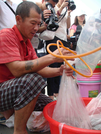 兩岸漁業首次攜手增殖放流70萬尾烏鯔魚魚苗