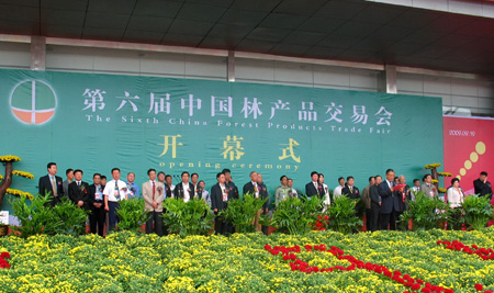 第六屆中國(guó)林產(chǎn)品交易會(huì)在山東菏澤舉行