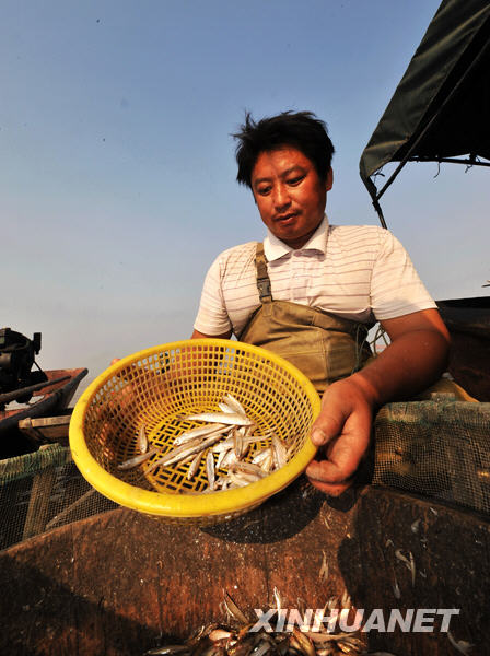 洞庭湖出現(xiàn)歷史罕見低水位