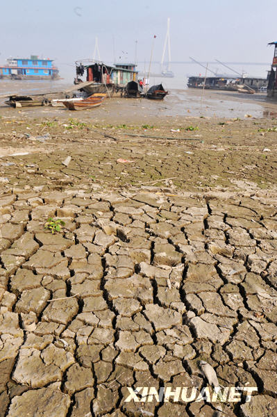 洞庭湖出現(xiàn)歷史罕見低水位